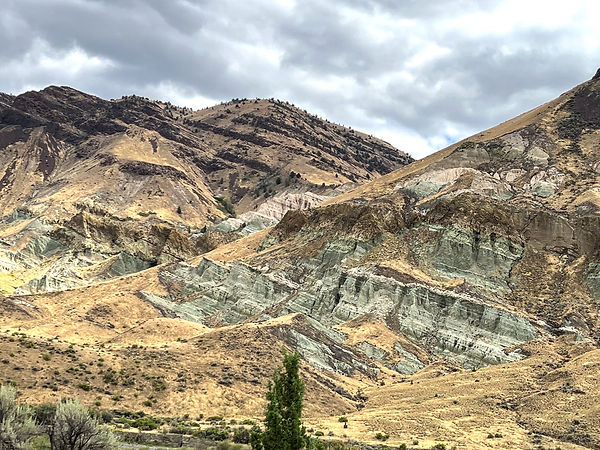John Jay Fossil Beds IMG_3358-1.jpg
