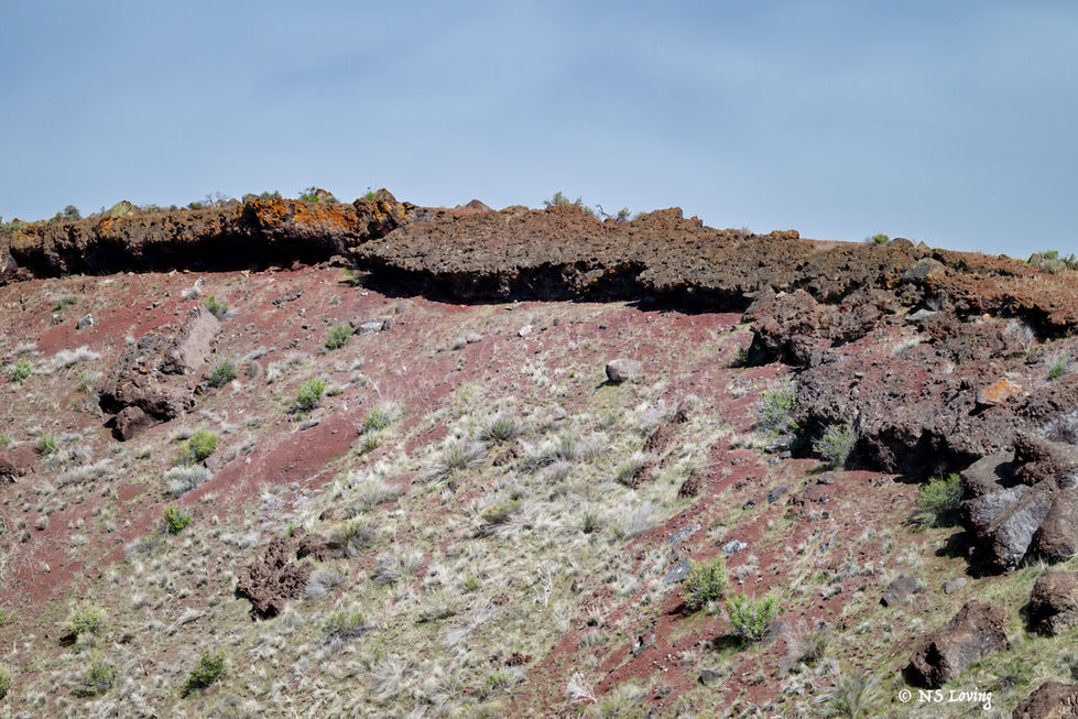 Diamond Crater National Area Or