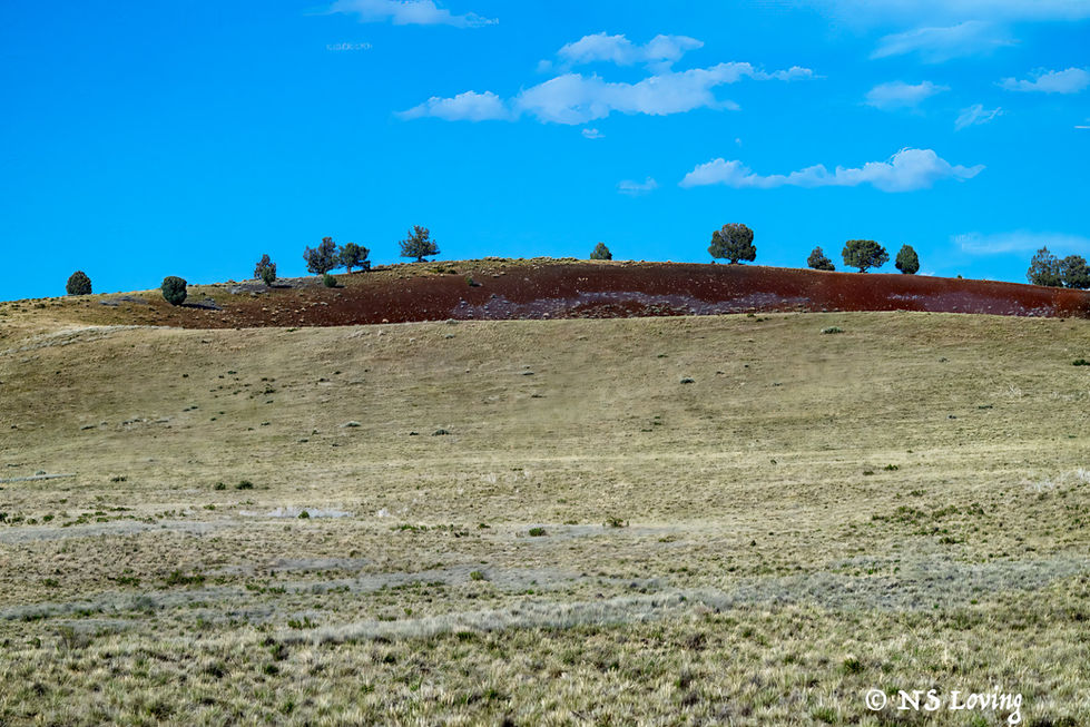 Diamond Craters Natural Area Or