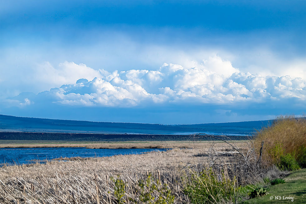 Storm clouds over Malheurn WR