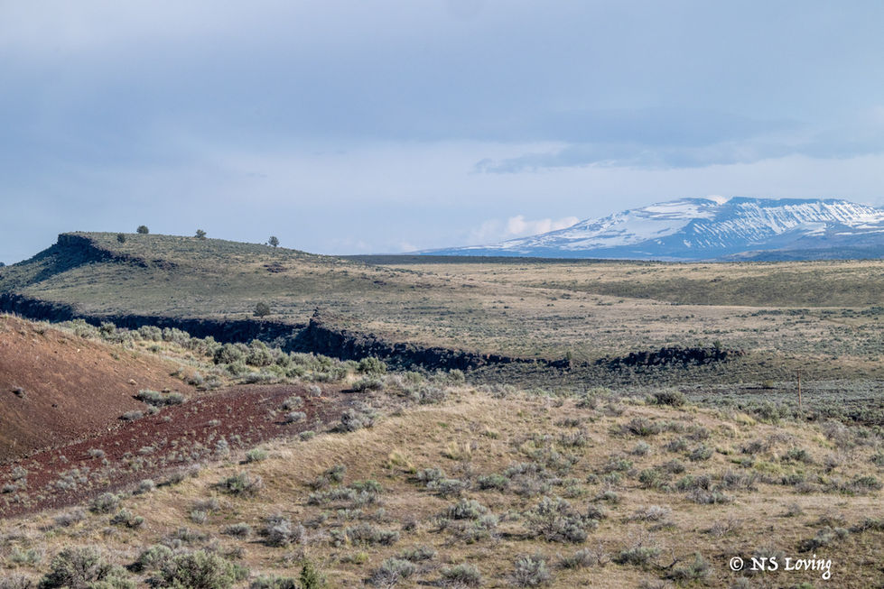 Diamond Craters Natural Area Or