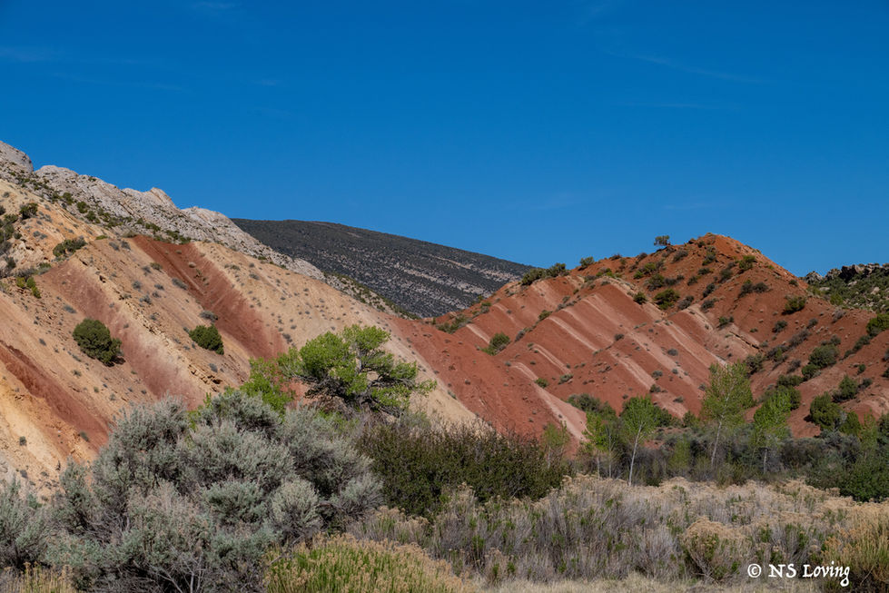 Landscape near Vernal Ut DSC_5201-1