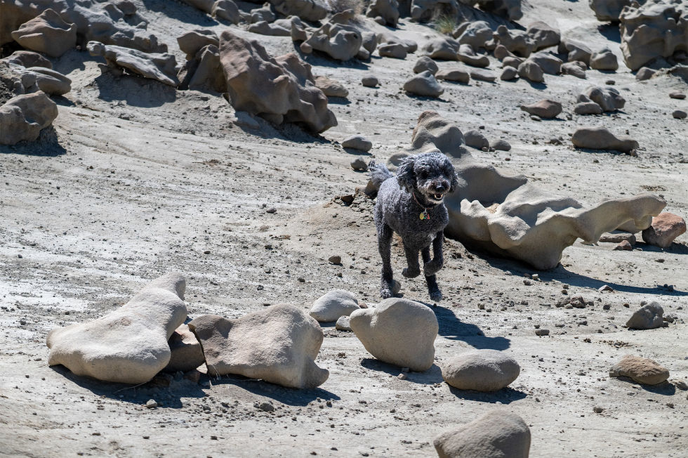 Louie at Fantasy Canyon DSC_5047-1-1