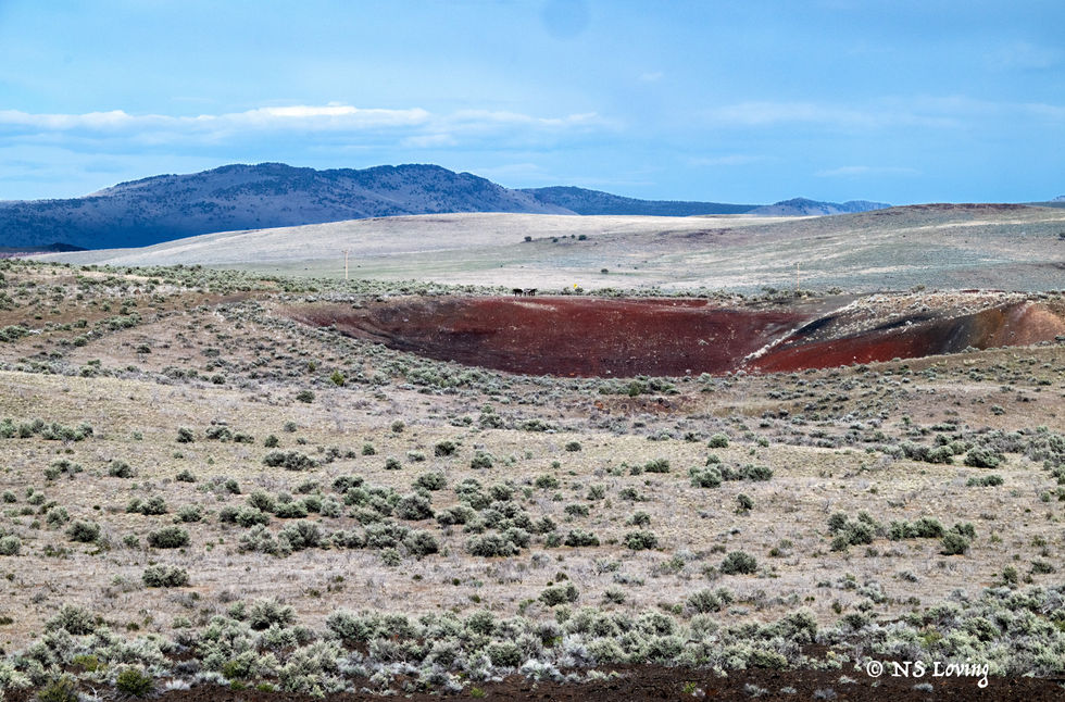 Diamond Craters Or