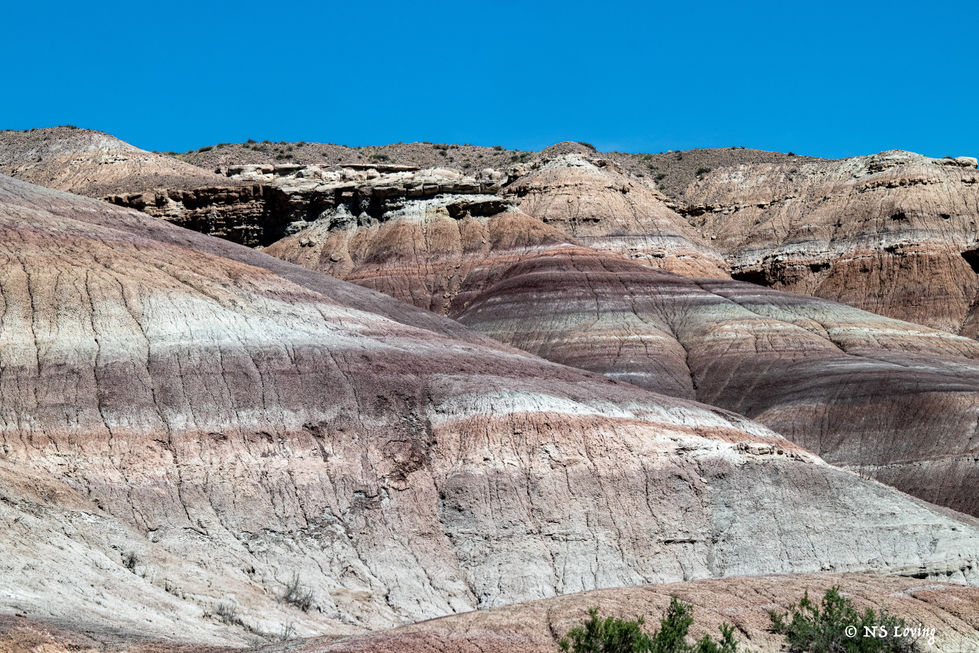 Ouray Wildlife Refuge DSC_4808-1
