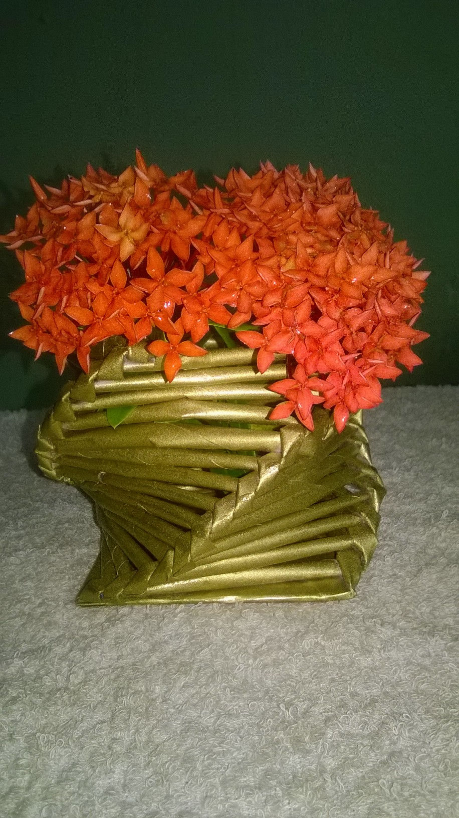 WP_20160531_18_12_49_Pro