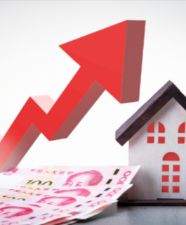 Delhi Yamuna Expressway