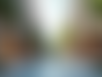 Property in Noida Extension