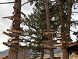Pine Creek Lodge Pine Creek, MT