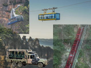 Embark on an Unforgettable Blue Mountains Adventure with Scenic Safari