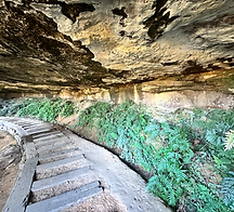 army truck adventures beyond the blacktop adventure tours