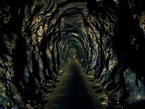 5 Things to Know Before Visiting the Glow Worm Tunnel