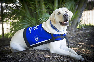 gus-in-jacket.jpg