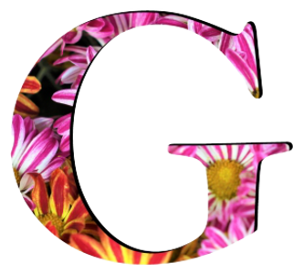 430-4309752_flower-pattern-letters-g-flo