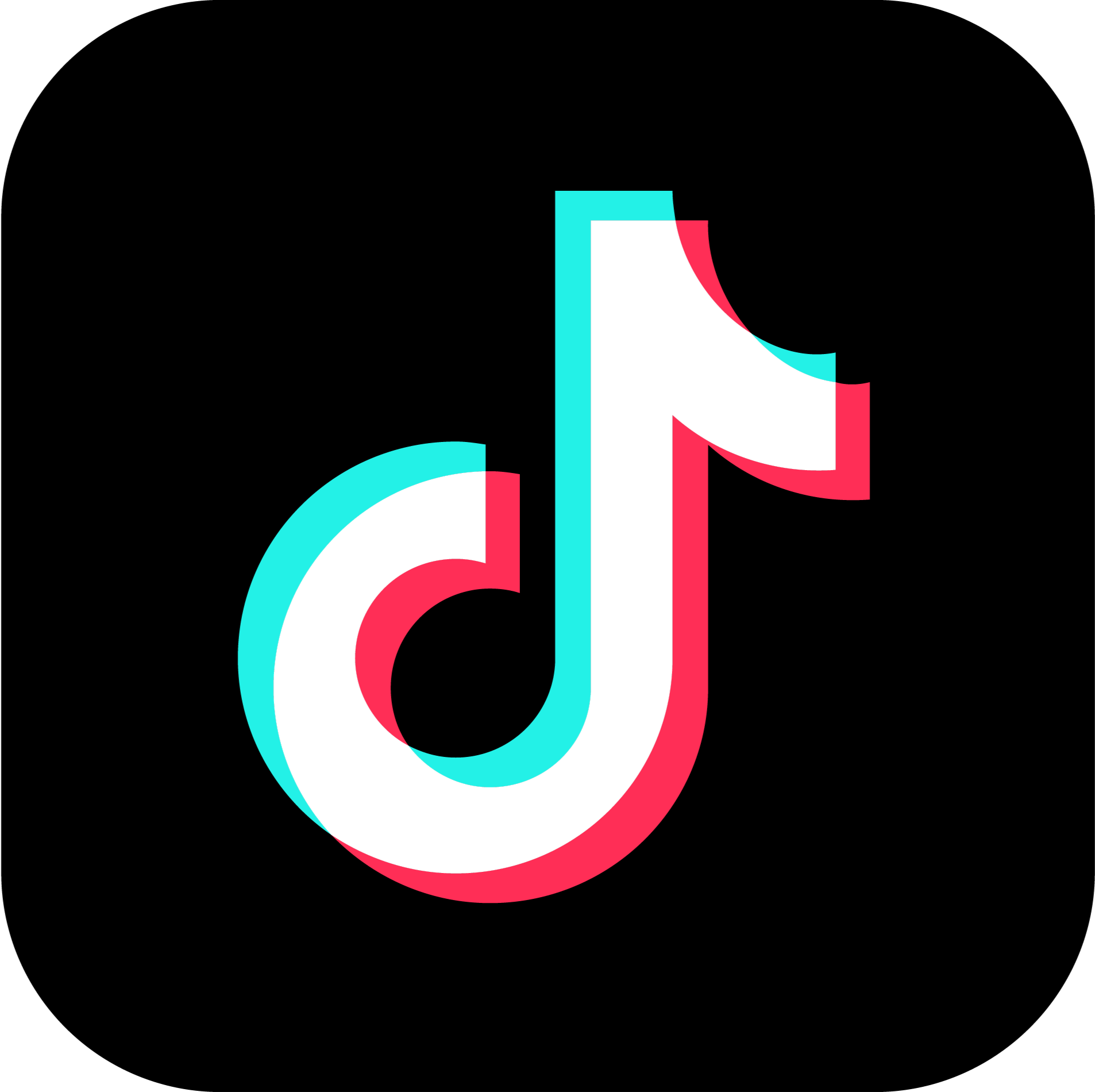 vecteezy_tiktok-png-icon_16716485_edited.png
