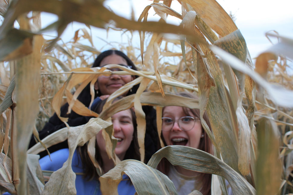 ITWP2024-Edmontoncornmaze-2