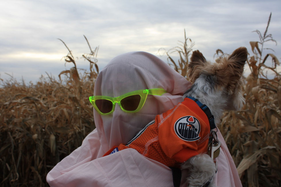 ITWP2024-Edmontoncornmaze-24