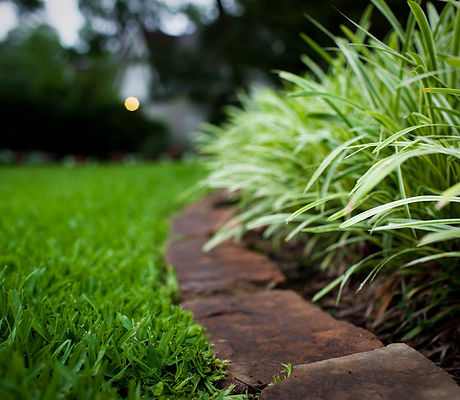 lawn.jpg