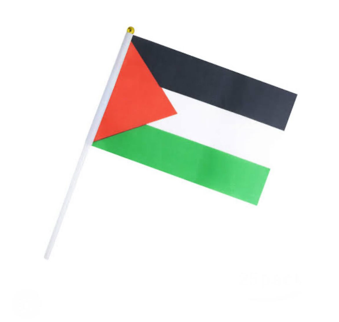 Palestine Flag