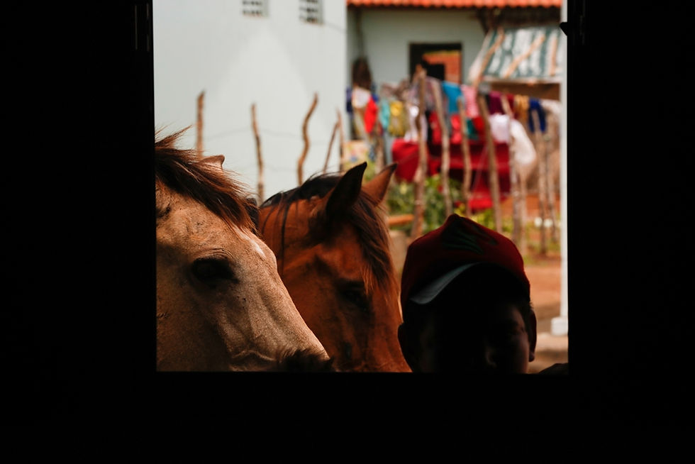 PROJETO NOSSAS ALDEIAS _ Kariri-Xocó (AL) - Dez2016