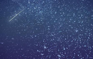 11 agosto : STELLE PER NOI!