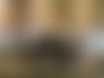 Saggi di musica scuola Mozart