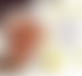 Memoria di Papa Giovanni Paolo II