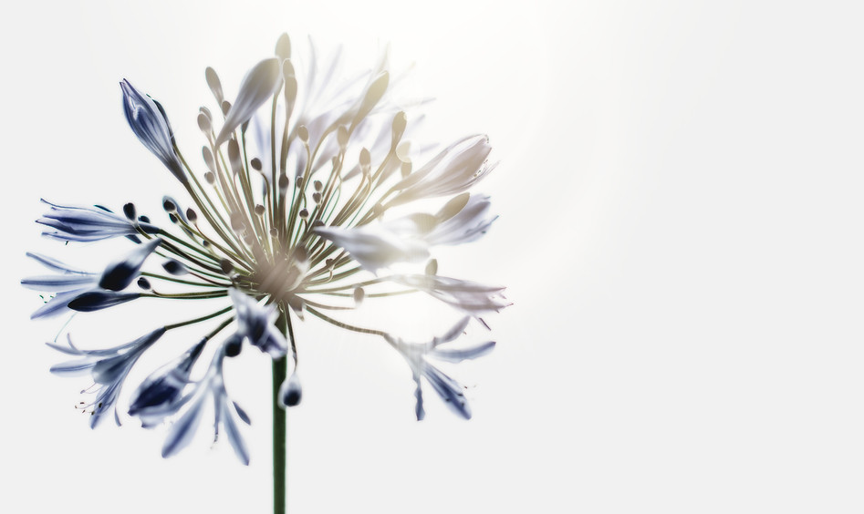 tim-mossholder-h2tEaTldVfY-unsplash_edit