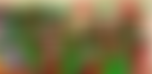 HAPPY HOLIDAYS! FROM OUR CLASSROOM TO YOURS...