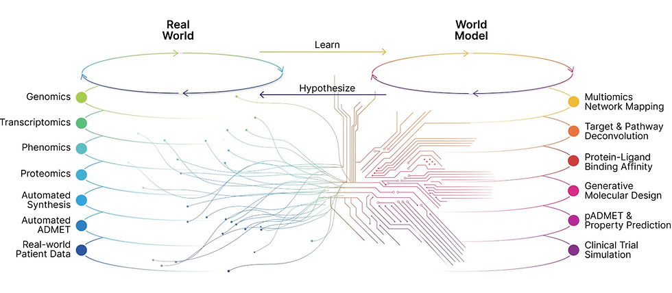 Recurison data and model