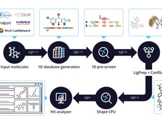 [Volume 15. Drug Discovery AI Innovation - Schrödinger Inc.] 
