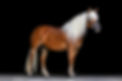 IMGL0250-Edit-Edit-topaz-Edit-topaz.jpeg