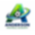 Anderson Academy logo.png