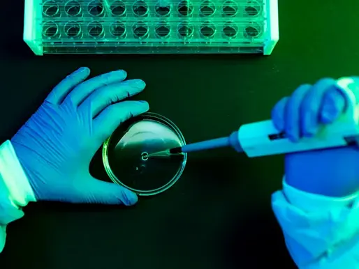 Renaming Viruses, Understanding the Evolution of the Dengue Virus and Its New Nomenclature