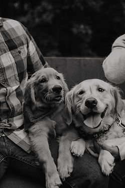Family Photographer