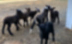 File_000_edited