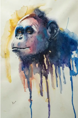 CHIMPANCÉ
