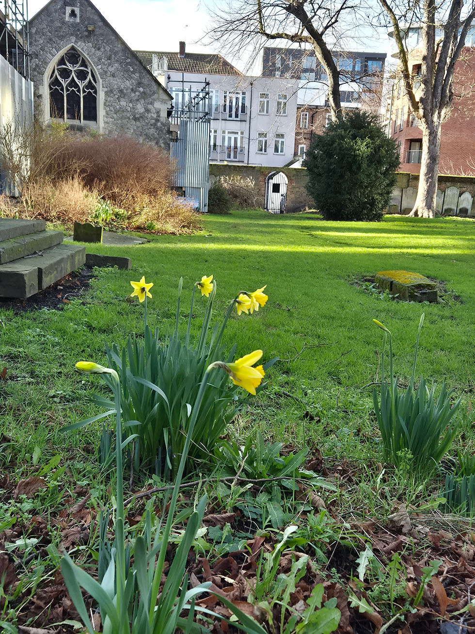 Weekly News Sheet and Hymn Sheet 25th January 2026