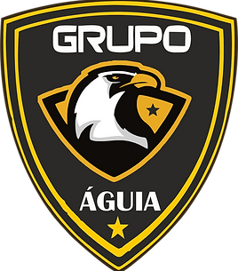 GRUPO AGUIA SEM FUNDO BRANCO.png