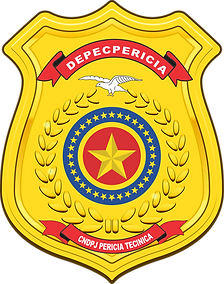 DEPEC PERICIA CNDPJ PERICIA TECNICA PNG.png