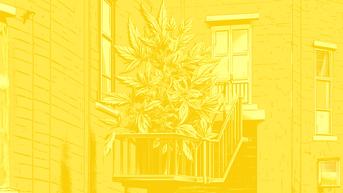 Fire Escape graphic