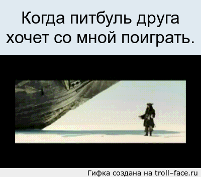 приколы