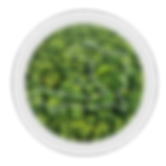 Untitled design (10).png