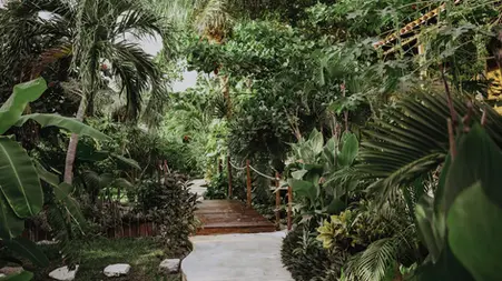 he Caribbean, beach club, pool, restaurants, bars, and the hotel’s full amenities