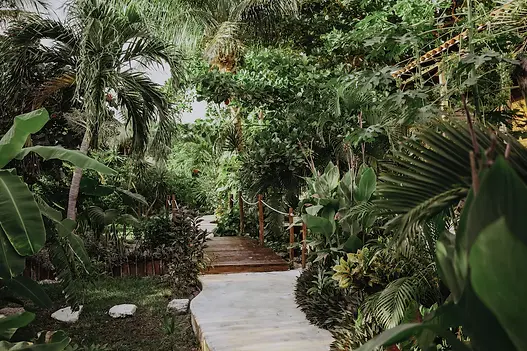 garden.webp