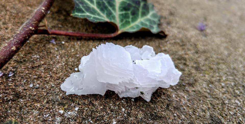ree