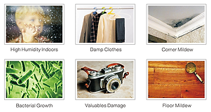 Home Dehumidifier Thailand