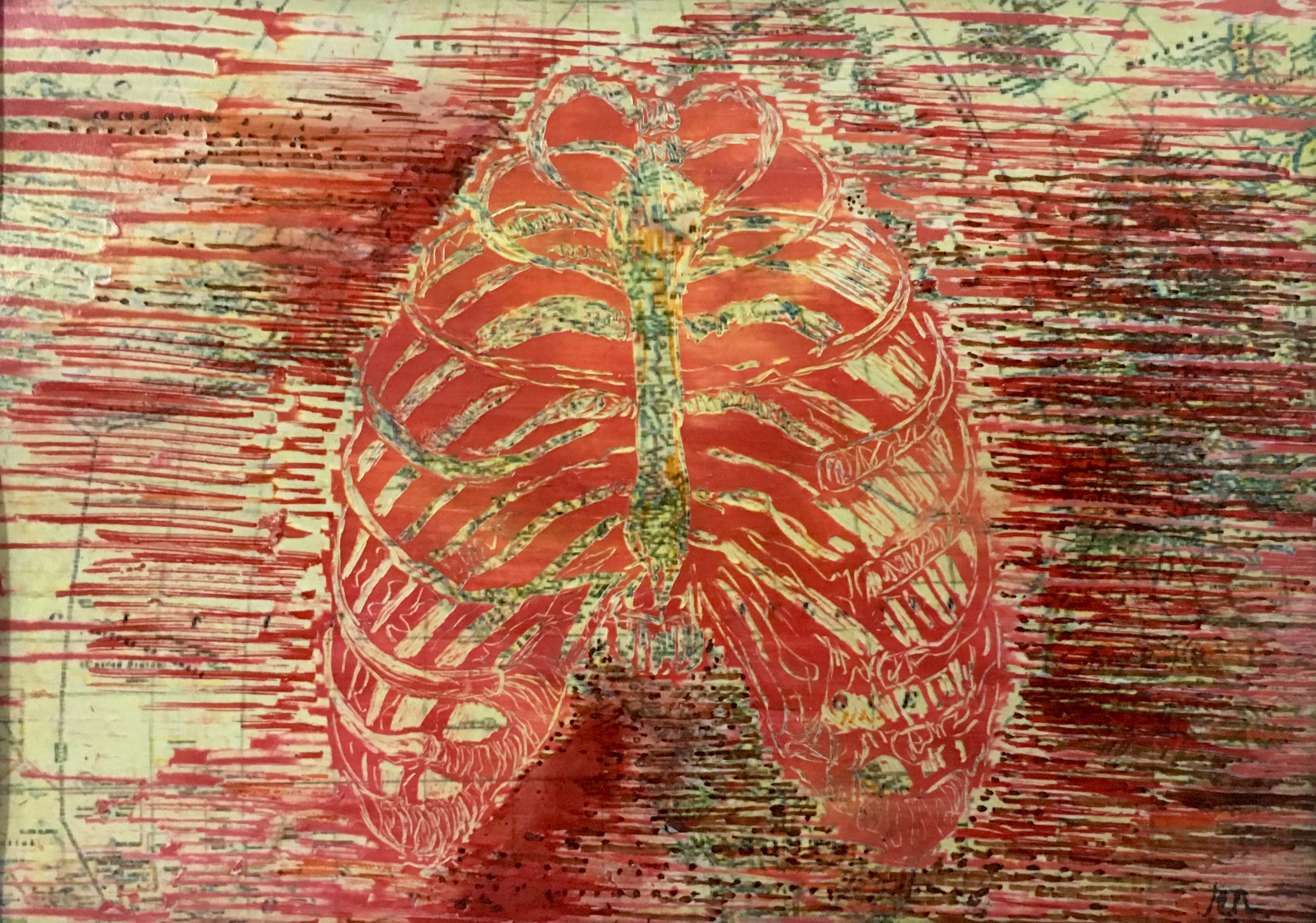 Ribcage