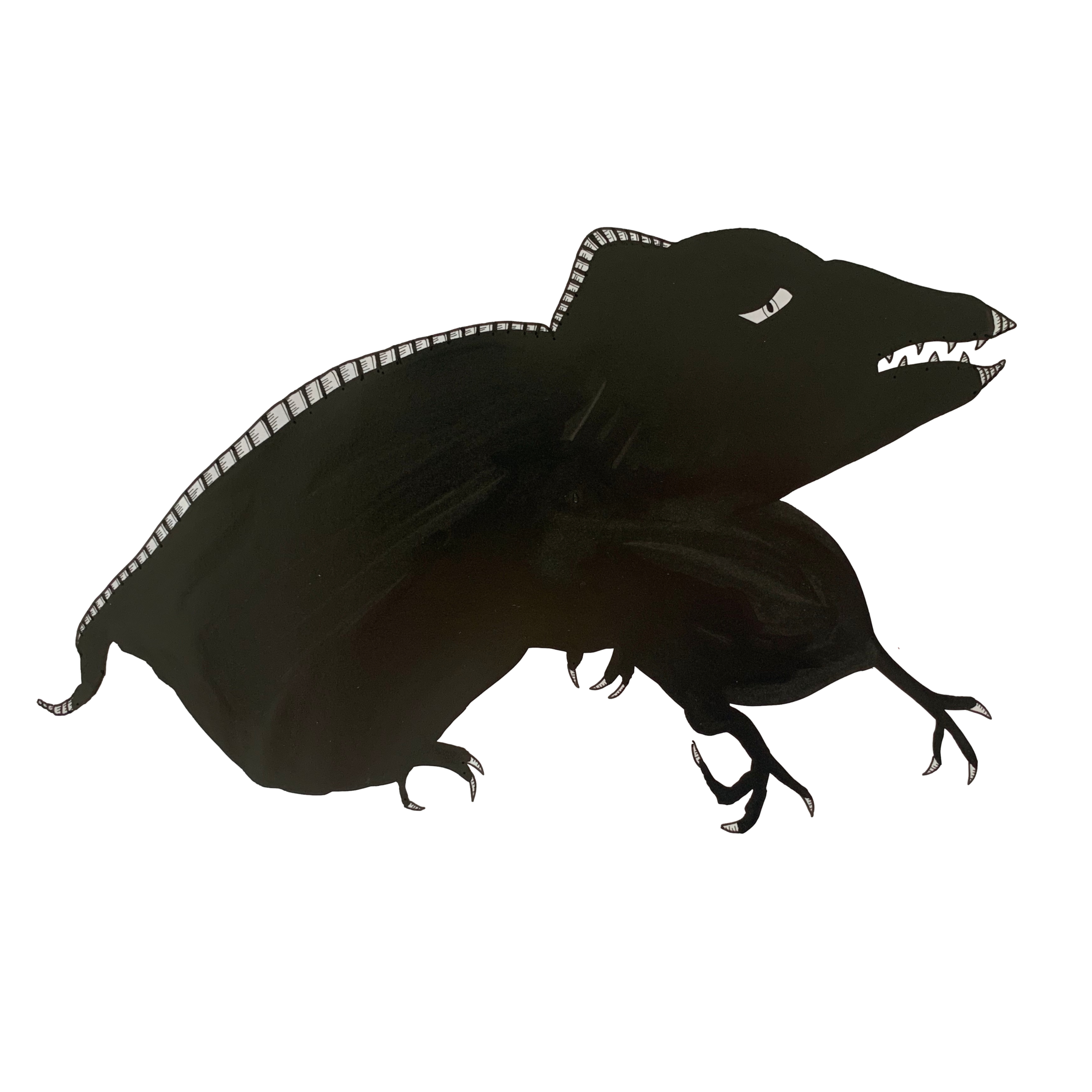 Rat
