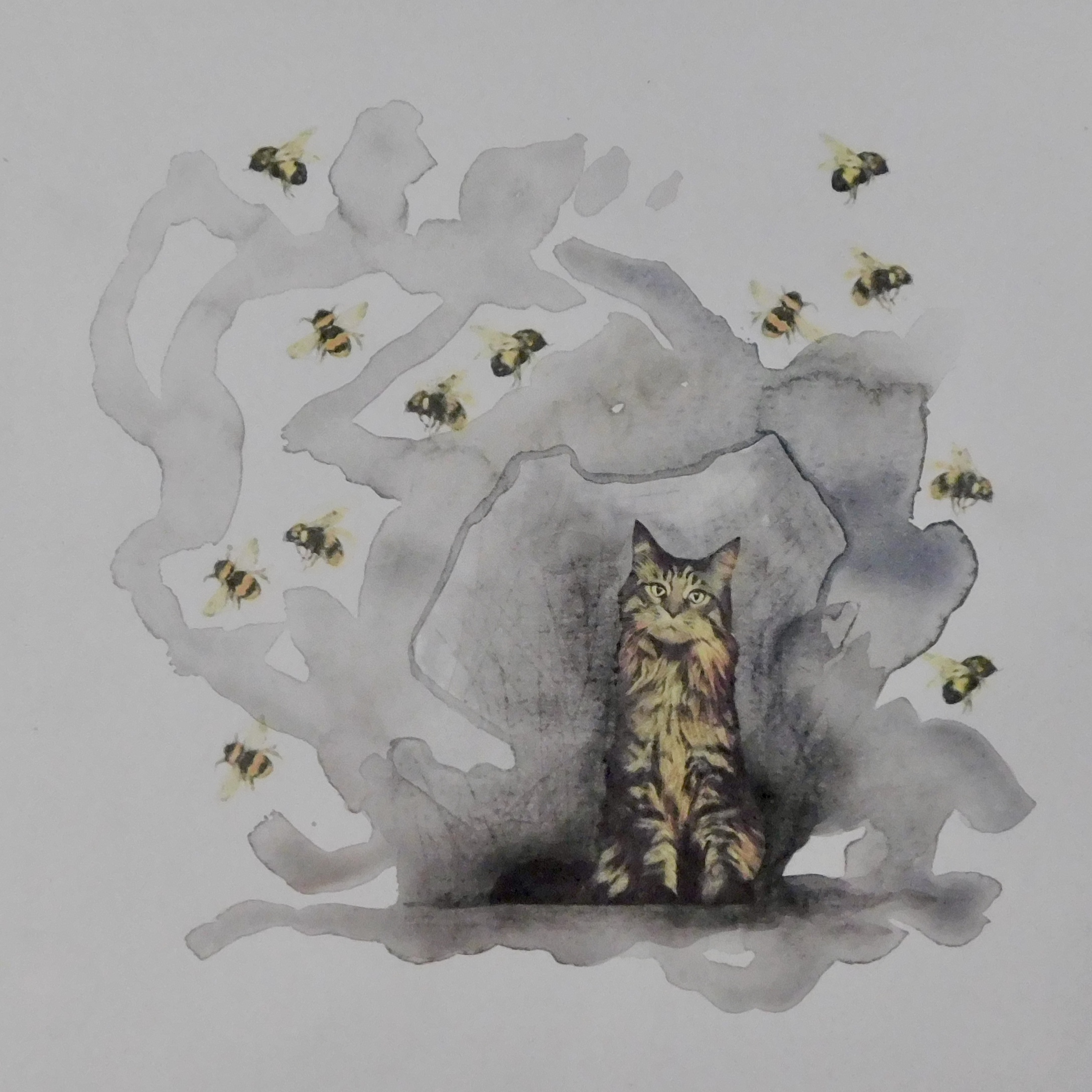 The Cat In The Cave